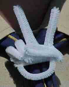 Cub Scout Hand Sign