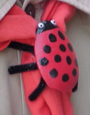 Ladybug