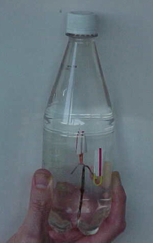 Cartesian Diver