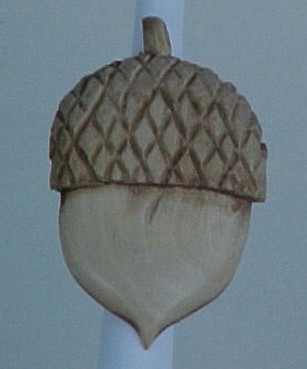 Acorn