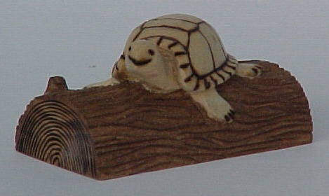 Turtle on a Log